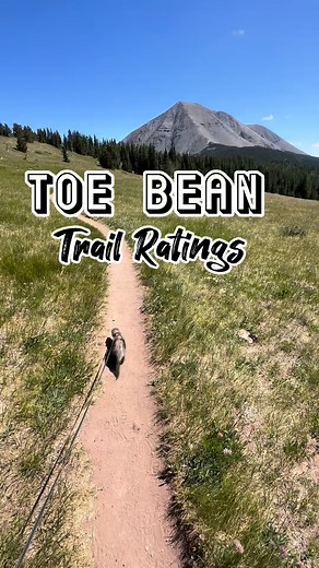 1.5K views · 423 reactions | 5 out of 5 toe beans for our hike up to the alpine lake | hikingferret | Facebook
