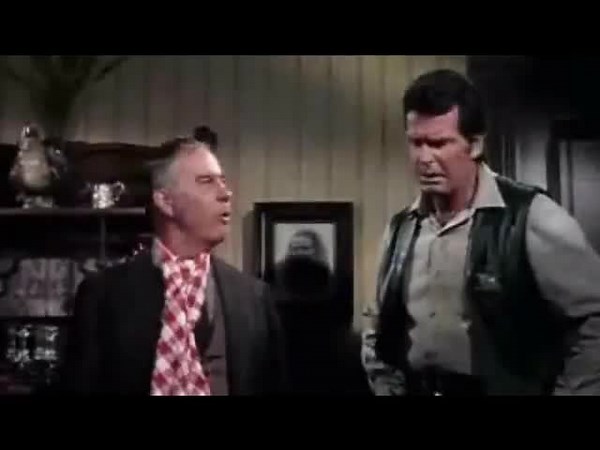 Support Your Local Sheriff! (1969)