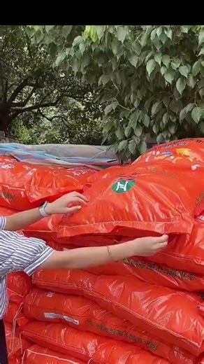 Foamy Science Experiment with Plastic Bag and Water