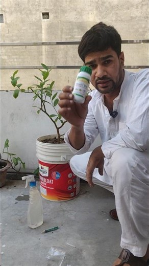 Neem Oil Use Kaise Kare | Plants Ke Keede Ka Full Solution 🌿