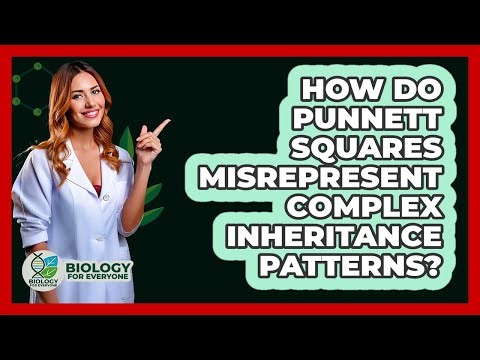 How Do Punnett Squares Misrepresent Complex Inheritance Patterns?