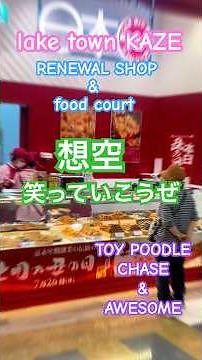 レイクタウンKAZE 新店舗&フードコート紹介