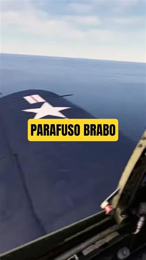 BRABO SCREW - FLIGHT SIMULATOR