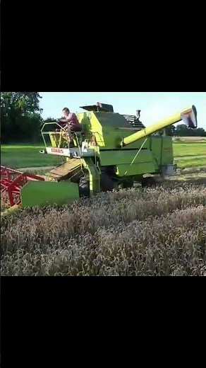 Claas Mercator 50 mit 3m Schnittbreite im Weizen. Alles dazu seht ihr dazugehörigen Video.