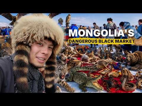 Visiting Mongolia's Dangerous Black Market
