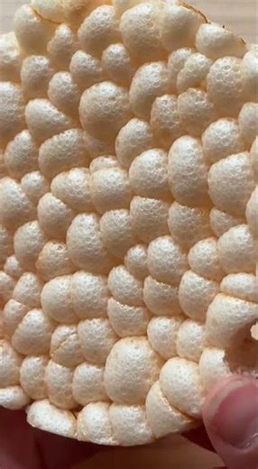 Close-Up of the Most Satisfying Crunch: Fried Brown Rice Cake 🌾 ASMR EATING SOUNDS #asmr #asmrbites