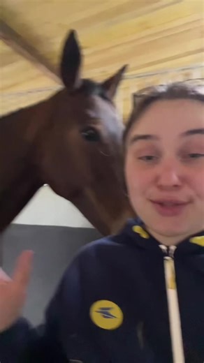 À suivre …. #cavaliere #cheval #equitation #horsegirl