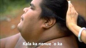 Israel Kamakawiwo'ole - Aloha ka manini