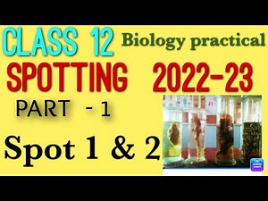 Class 12 biology practical |how to do SPOTTING | spotting