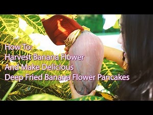 How To Harvest, Prepare and Cook Banana Flower (Deep Fried Banana Flower)