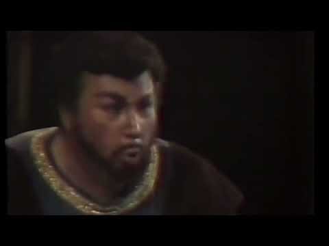 Plácido Domingo, Marco Antonio Saldaña: Si, pel ciel... Otello