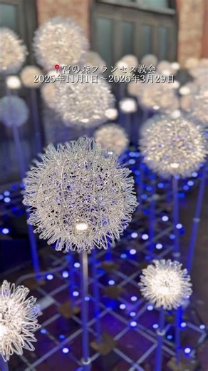 札幌の無料で見られるイルミネーション3選💐💕 #北海道旅行#hokkaido#クリスマス#札幌イルミネーション#sapporo