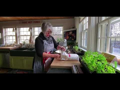 08 - Traditional Slovak Kolache (Nut Rolls) – A Generations-Old Family Recipe