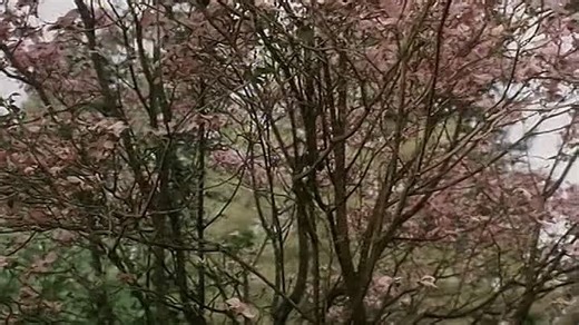 Love Is Strange (1999) TV-Movie DVDRip