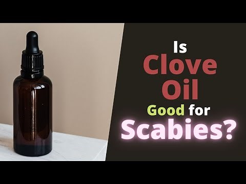 Clove Oil for Scabies - Is it Good, Does it Help Get Rid of Scabies?