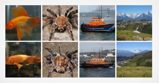 This AI Recreates Images From Brain Waves More Accurately Than Ever Before