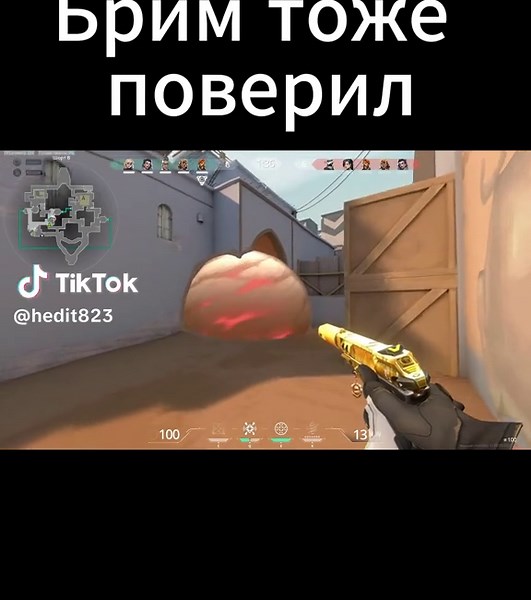 Веселые клипы Valorant