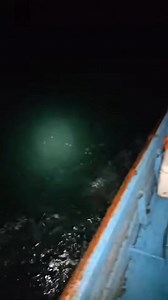 Extraña criatura es avistada en el mar | Creepy man 2.0