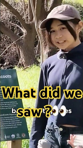 🐾 Have You Ever Seen a Bandicoot?