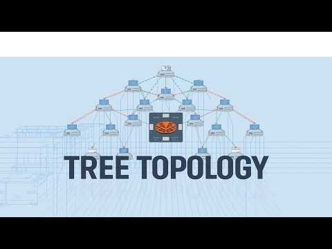 Tree Topology in Cisco Packet Tracer | Step by Step Practical