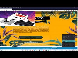 COMMENT AFFICHER ET MODIFIER SON BONGO CAT