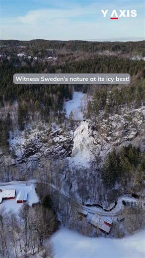 Discover Sweden's Frozen Wonders This Winter