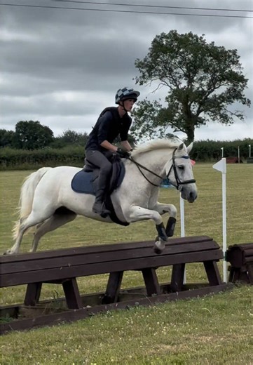 Understanding Male Equestrian Culture