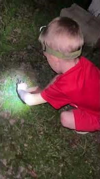 How to get free fishing bait #fishing #oldschool #nightcrawler #outdoors #night