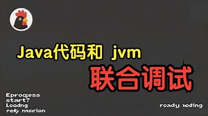 卧槽，牛逼。Java代码实现和jvm联合调试