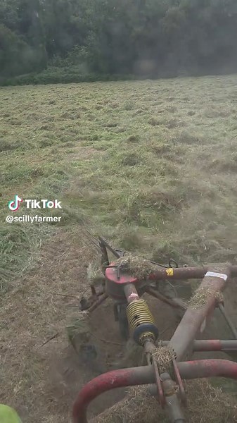 Essential Guide to Summer Haymaking Techniques