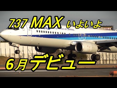 [June 2026] The long-awaited ANA 737-MAX will be flying in the skies of Japan! #ANA#737MAX