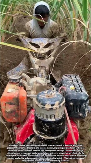 Using a Handheld Motorized Tiller to Loosen and Aerate Soil in the Field for Better Crop Growth