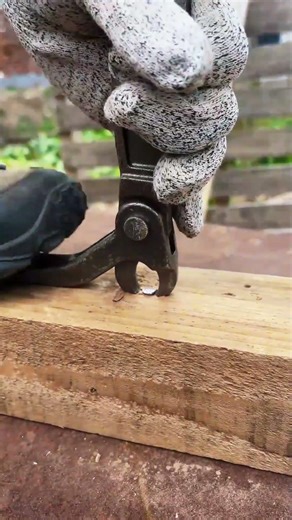 A tool for removing embedded nails #shorts