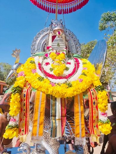 13K views · 1K reactions | Matha Mathai on Reels | Facebook