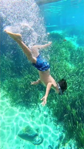 POV: you arrive at one of Florida’s prettiest springs | Juniper Springs