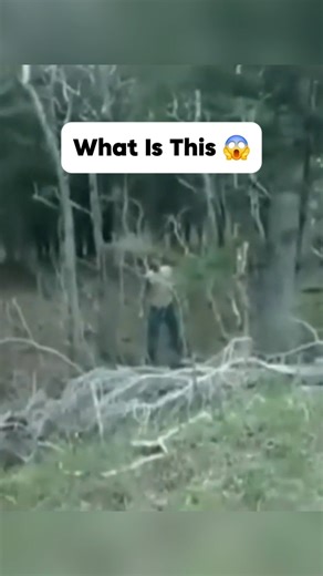 Creepy Things That Captured In Camera