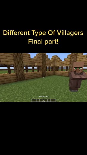 Different Types of Villagers & Job Site Blocks in Minecraft