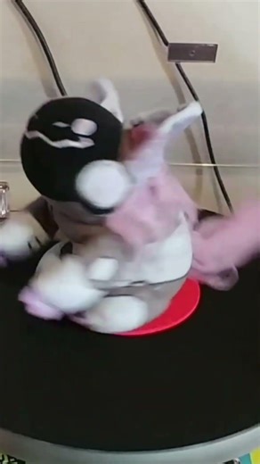 Protobean Bobits: Speen