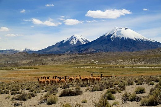 Chile's 11 best national parks