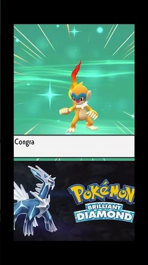 My Chimchar finally evolving. Pokémon Brilliant Diamond!