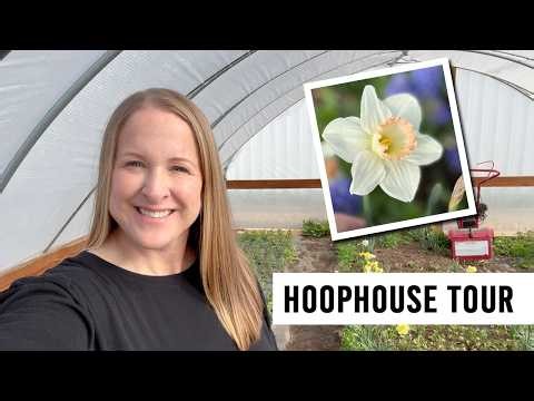 Hoophouse Tour! Growing Cut Flowers, Zone 5A, Iowa