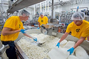 Dairy Manufacturing (B.S.)