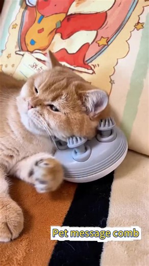 Nio Pets on Instagram: "🌟 Your Cat’s New Obsession Awaits! 🌟 Treat your feline friend to purr-fessional spa vibes with this electric head massager! Designed to copy 7 human-like techniques (knead, pinch, stretch—you name it!), it’s a “soul-stealing” relaxation tool your cat won’t resist. 😻💆♂️ ✨ Paws-itively Purrfect Features: ✅ 4 massage heads + 96 ultra-gentle claws #CatSpaEssentials #PetTechMagic #FelineTherapy #CatMomVibes"