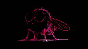 Download Neon frame effect, Flea on black background for free