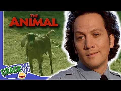 ROB SCHNEIDER falls for GOAT | The Animal | Best Scenes