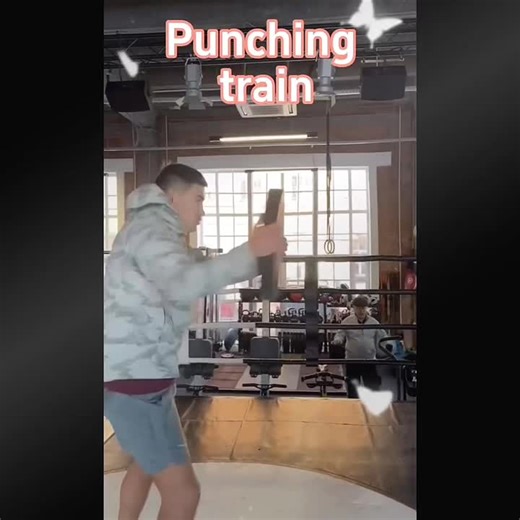 Punching Train: Master Your Boxing Techniques