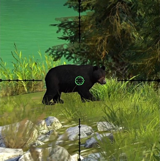 #HuntingClash #BlackBear#HunterGames