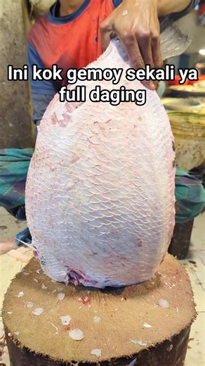 CityStore Tulungagung on Instagram: "Wao bikin terlihat keren saja Sumber 📽️ knifenfish #fyp #viral #populer #trending"