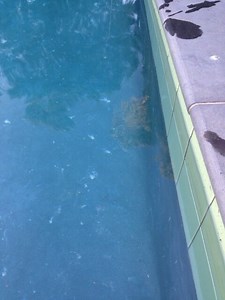 Quartz swimming pools | Things you must know before you buy