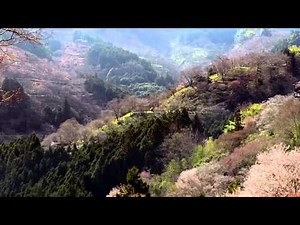 Beautiful Nature Spring 1080p HD